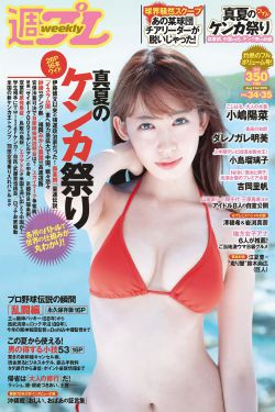 扫黑风暴免费观看