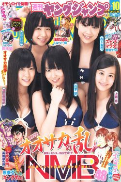 射雕英雄外传三弄芙蓉是谁扮演的