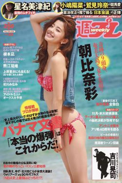 大唐荣耀第二部